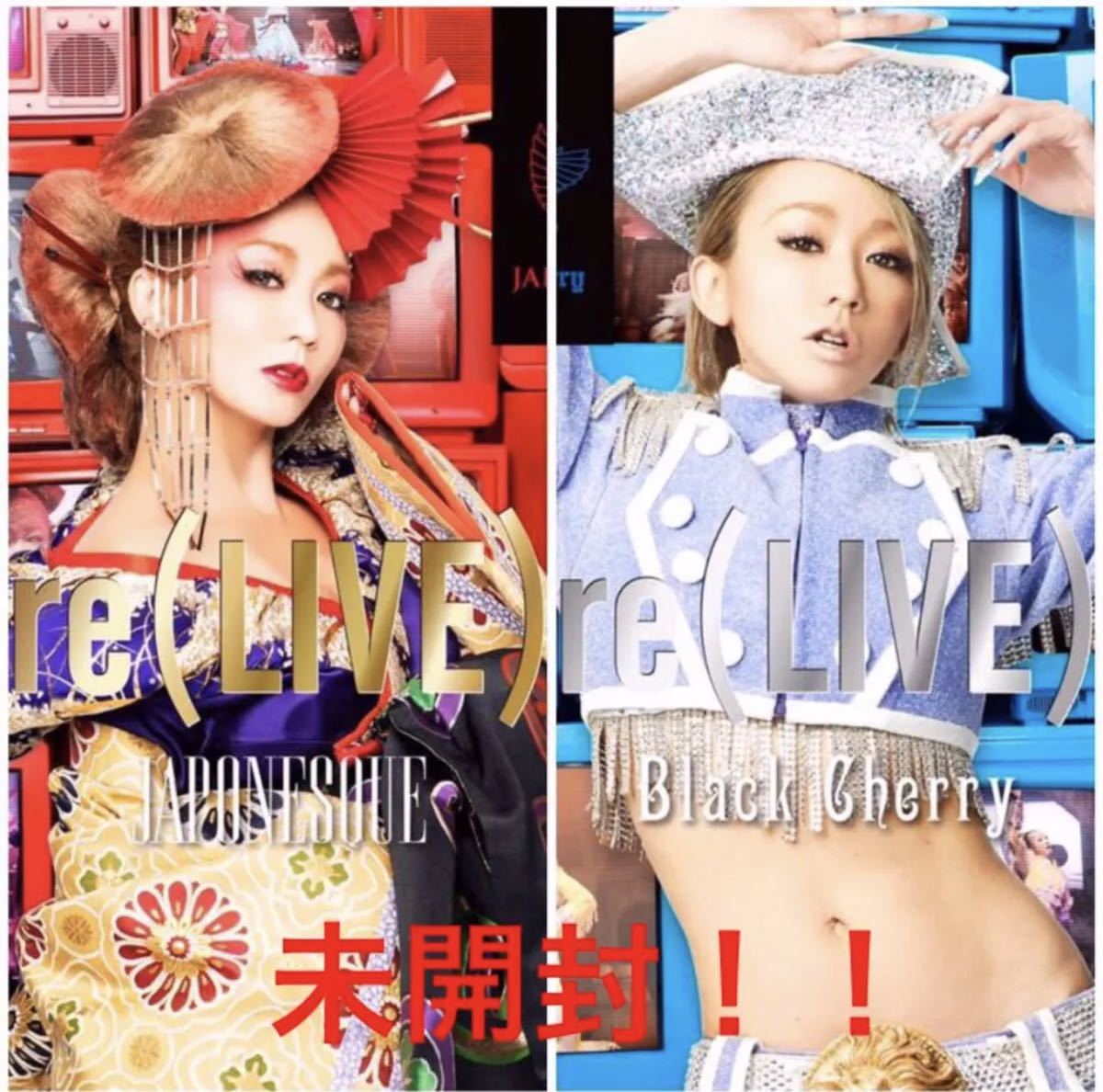 日本 KODAKUMI LIVETOUR 2013 JAPONESQUE パンフレット