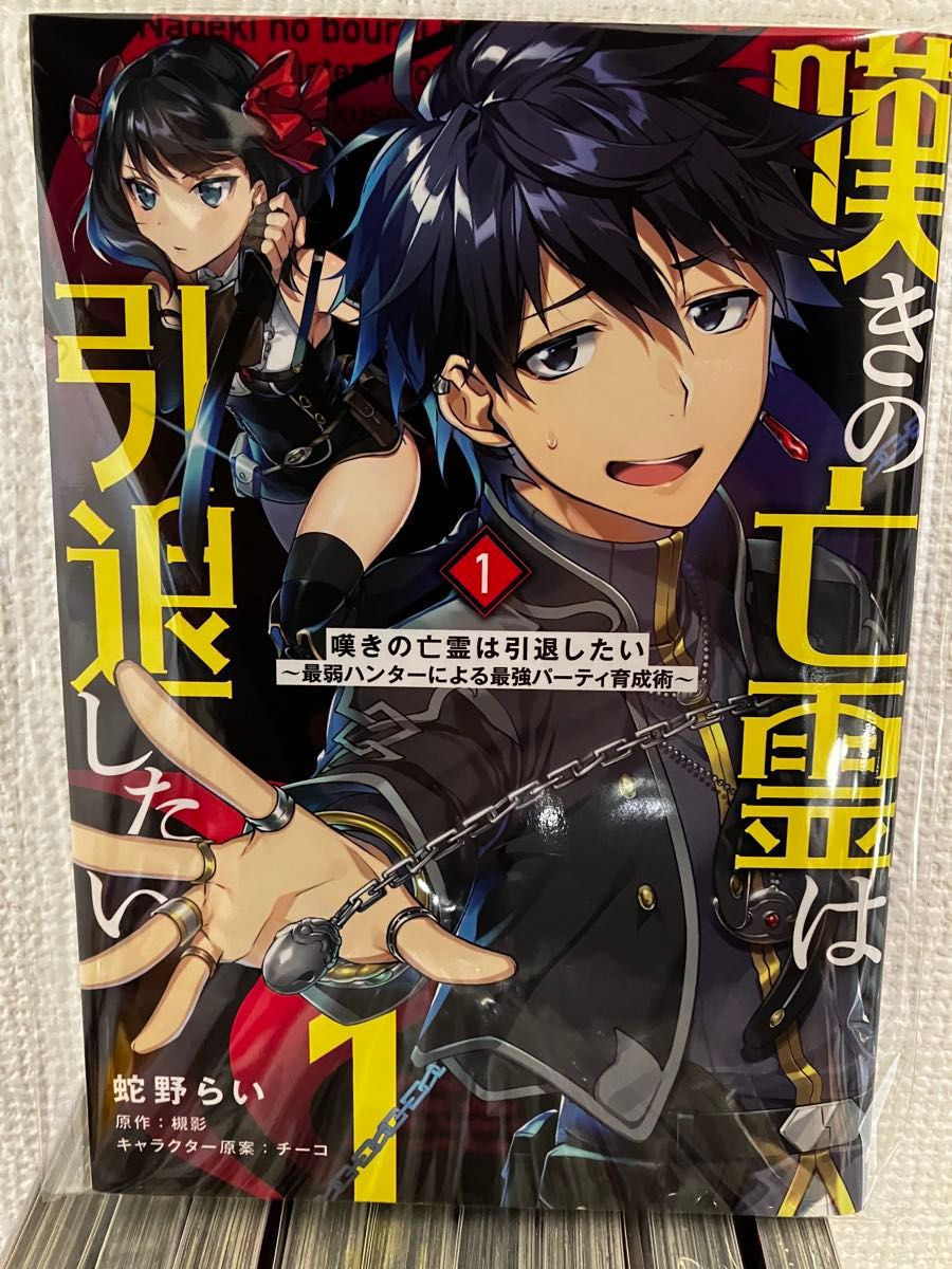 嘆きの亡霊は引退したい 1巻〜10巻 既刊全巻セット 蛇野らい/著 嘆きの亡霊は引退したい 1巻〜10巻 既刊全巻セット 蛇野らい/著