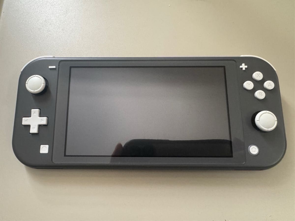 Nintendo Switch Lite ニンテンドースイッチライト グレー 初期 Nintendo Switch Lite ニンテンドースイッチライト グレー 初期
