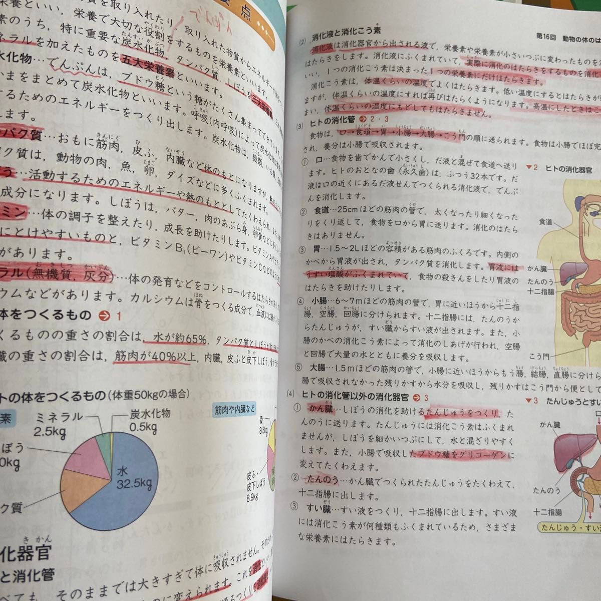 中学受験新演習 理科 上下 確認テストつき 小5|Yahoo!フリマ 中学受験新演習 理科 上下 確認テストつき 小5|Yahoo!フリマ