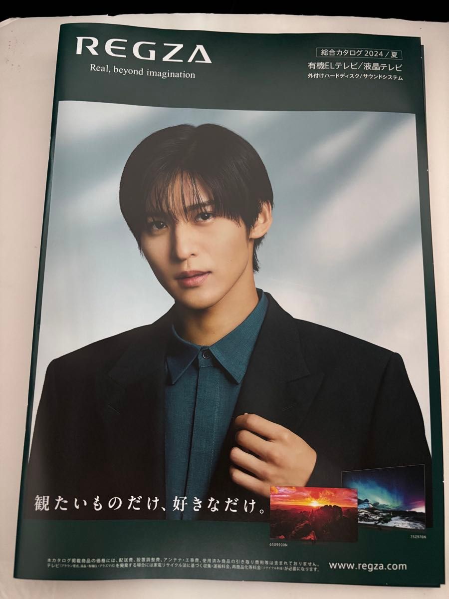 4冊セット SnowMan目黒蓮 REGZAカタログ 2種 まとめ売り めめ 4冊セット SnowMan目黒蓮 REGZAカタログ 2種 まとめ売り めめ