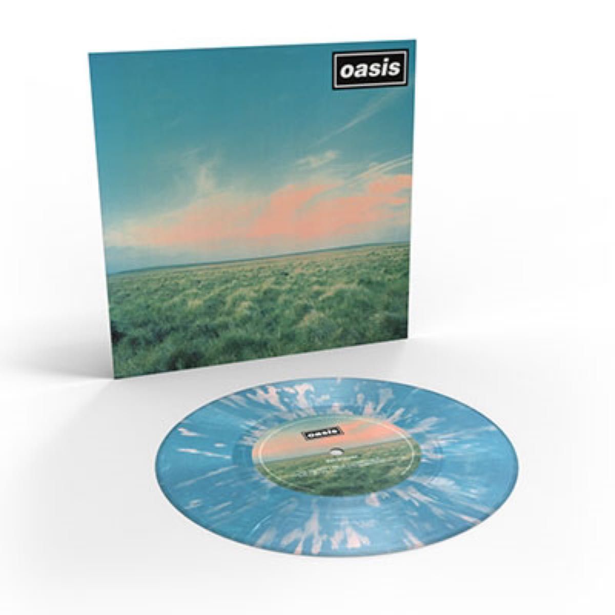 レア限定ナンバー入り カラーアナログレコード oasis whatever 7 レア限定ナンバー入り カラーアナログレコード oasis whatever 7