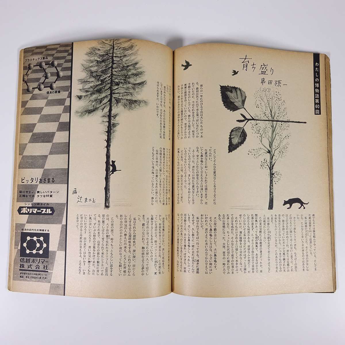 ヤフオク 週刊朝日 通巻2259号 1962 9 21 朝日新聞社 雑誌