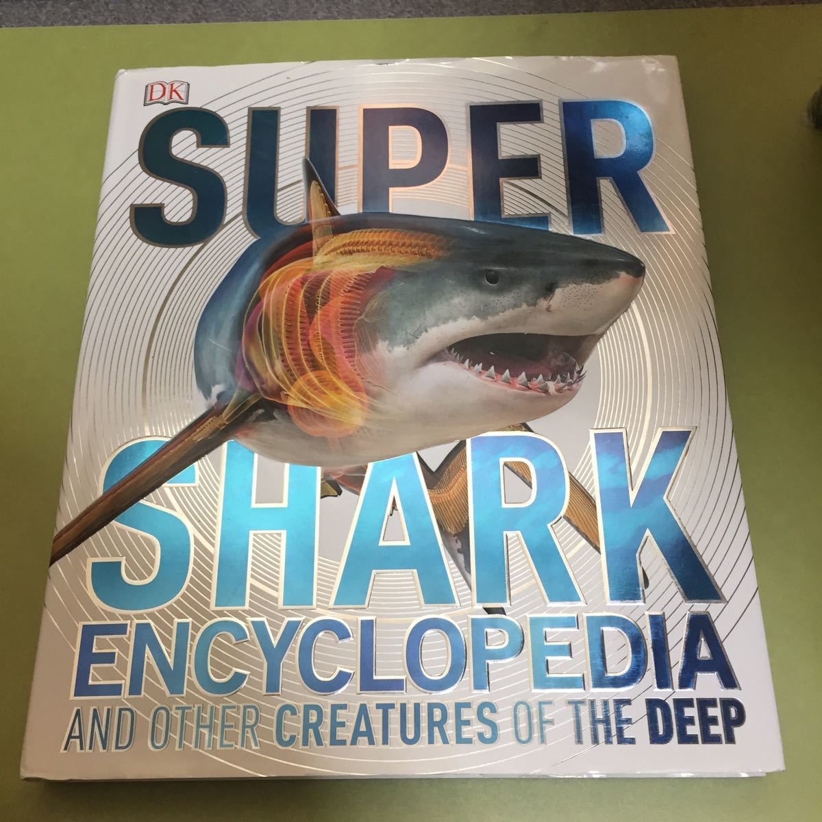 ◎英語本 Super Shark Encyclopedia: And Other Creatures of the Deep_画像1
