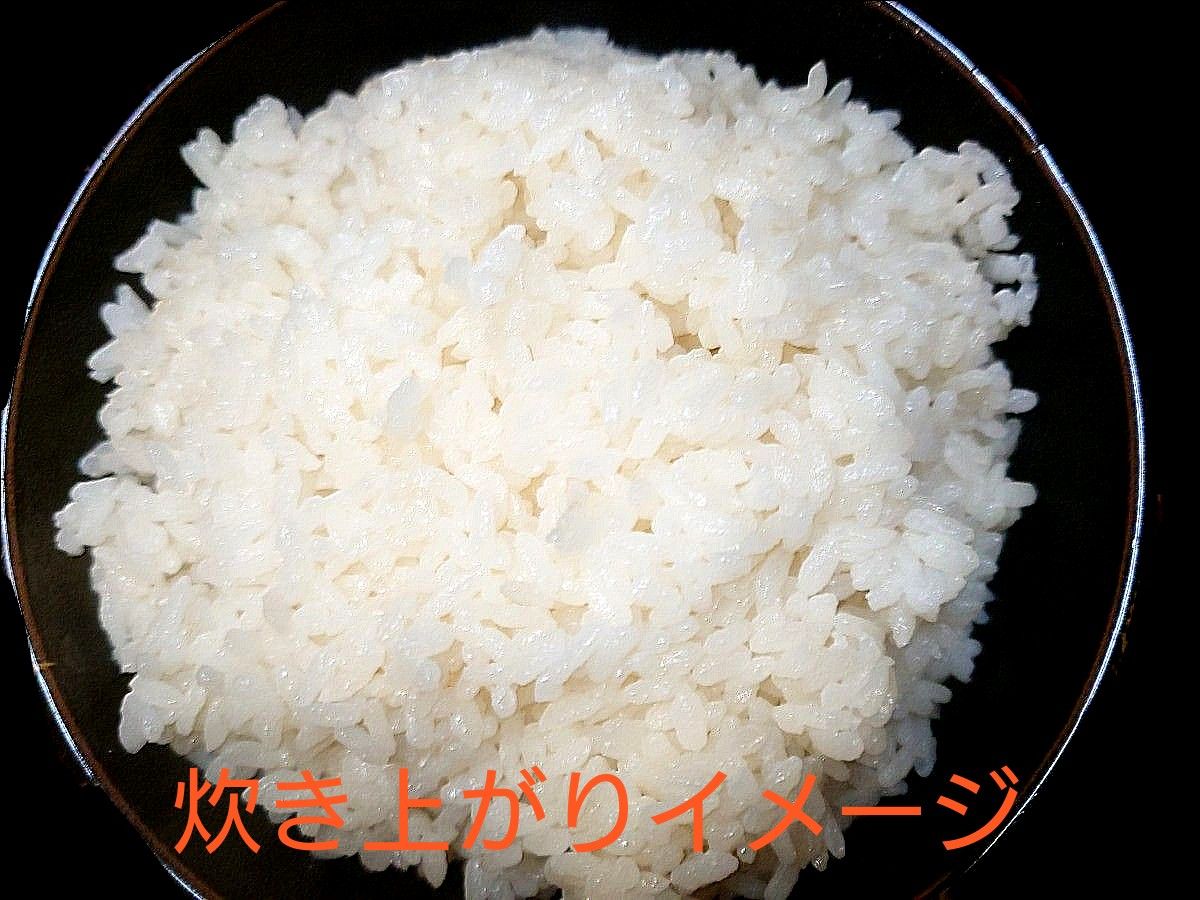 令和6年 福島県産コシヒカリ 一等米 玄米20kg 1袋|Yahoo!フリマ 令和6年 福島県産コシヒカリ 一等米 玄米20kg 1袋|Yahoo!フリマ