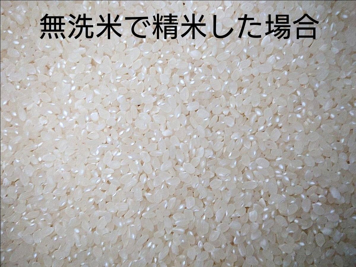 令和6年 福島県産コシヒカリ 一等米 玄米20kg 1袋|Yahoo!フリマ 令和6年 福島県産コシヒカリ 一等米 玄米20kg 1袋|Yahoo!フリマ