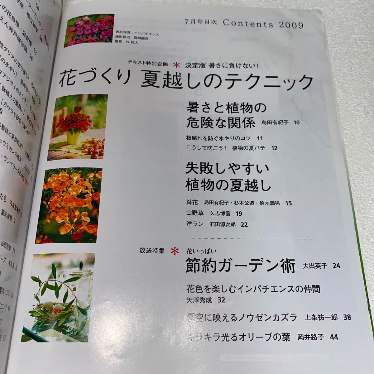 18 NHKテレビテキスト　趣味の園芸　2009年7月号 決定版暑さに負けない！花づくり　夏越しのテクニック　節約ガーデン術　オリーブの花_画像6