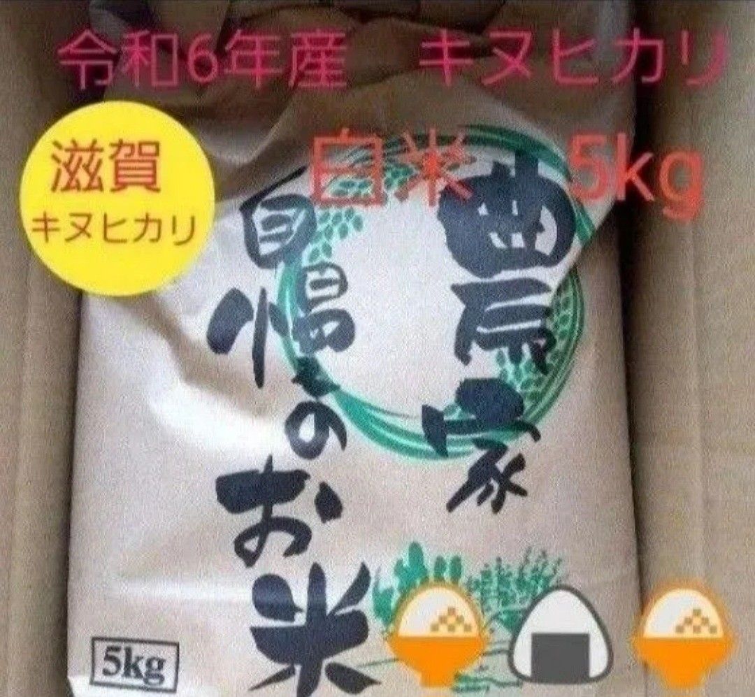 数量限定 令和6年キヌヒカリ 滋賀県産キヌヒカリ 5kg 滋賀県 数量限定 令和6年キヌヒカリ 滋賀県産キヌヒカリ 5kg 滋賀県
