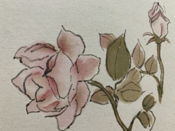 ヤフオク 色紙画 色紙書 肉筆 秋山良太郎 作 薔薇の