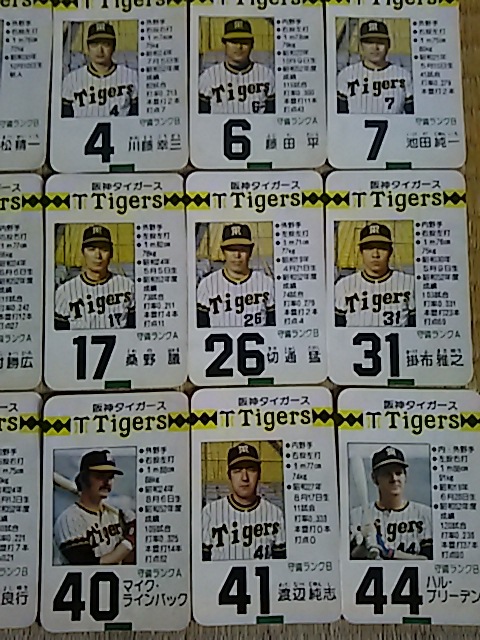 柔らかな質感の タカラプロ野球カードゲーム　昭和53年度阪神タイガース 野球/サッカーゲーム
