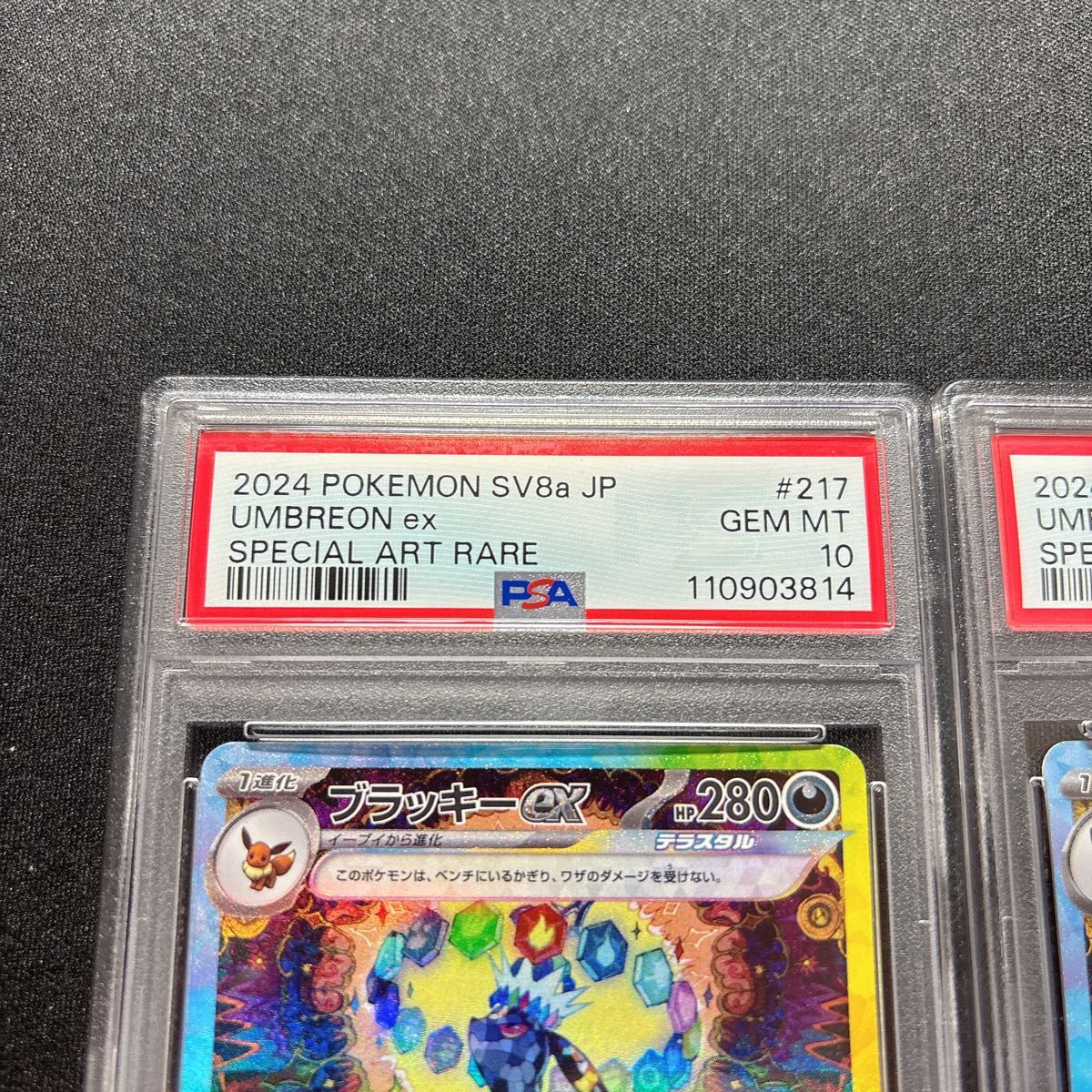 PSA10連番 ブラッキーex SAR PSA10 テラスタルフェス|Yahoo PSA10連番 ブラッキーex SAR PSA10 テラスタルフェス|Yahoo