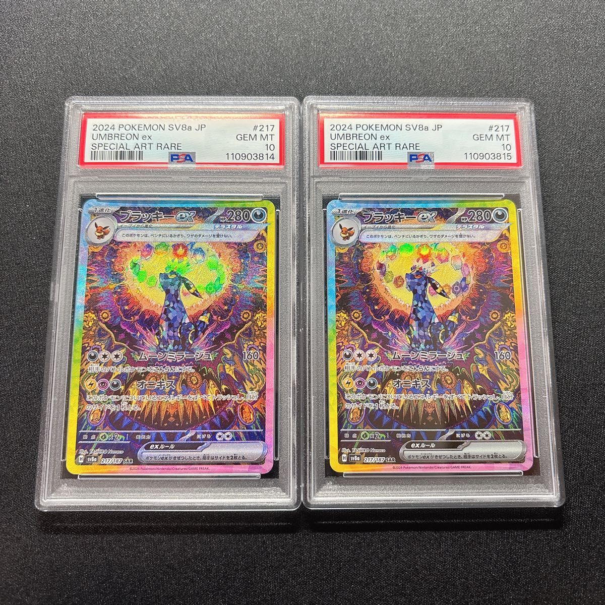 PSA10連番 ブラッキーex SAR PSA10 テラスタルフェス|Yahoo PSA10連番 ブラッキーex SAR PSA10 テラスタルフェス|Yahoo
