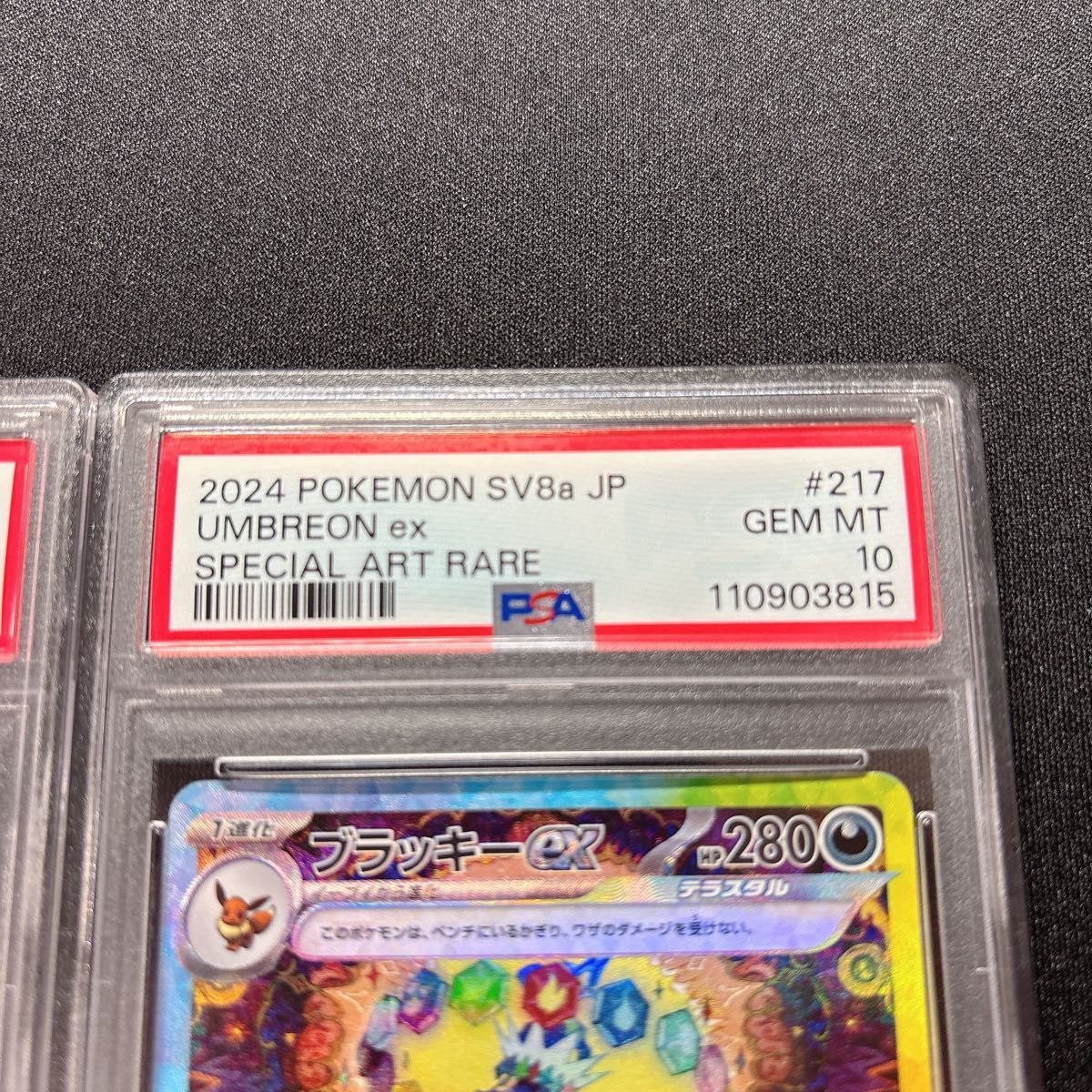 PSA10連番 ブラッキーex SAR PSA10 テラスタルフェス|Yahoo PSA10連番 ブラッキーex SAR PSA10 テラスタルフェス|Yahoo
