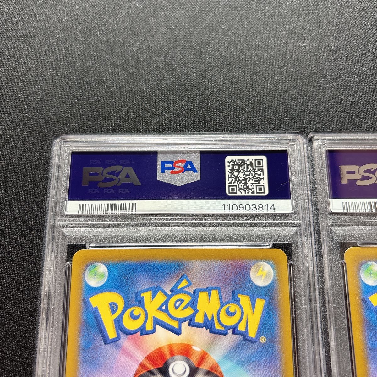 PSA10連番 ブラッキーex SAR PSA10 テラスタルフェス|Yahoo PSA10連番 ブラッキーex SAR PSA10 テラスタルフェス|Yahoo