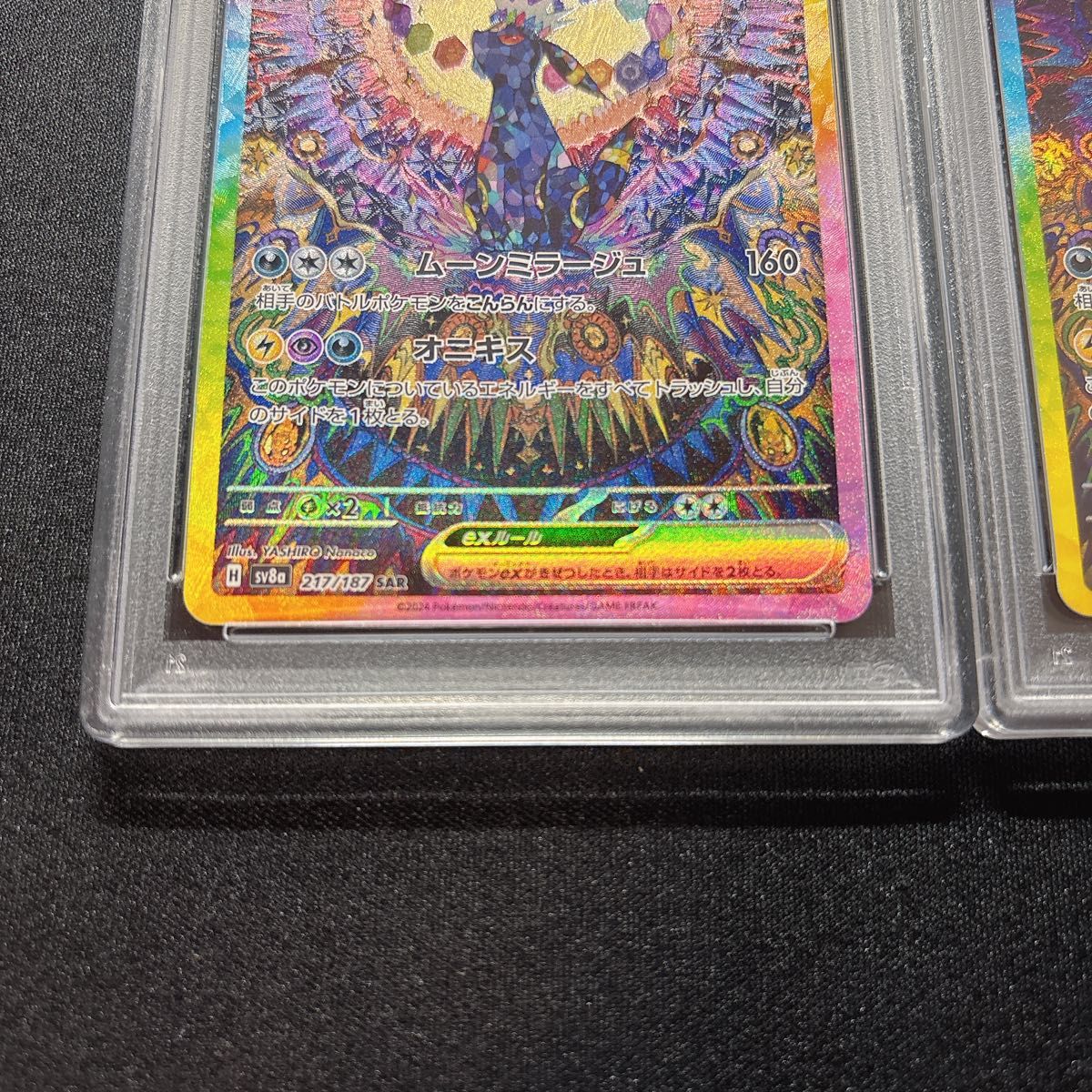 PSA10連番 ブラッキーex SAR PSA10 テラスタルフェス|Yahoo PSA10連番 ブラッキーex SAR PSA10 テラスタルフェス|Yahoo