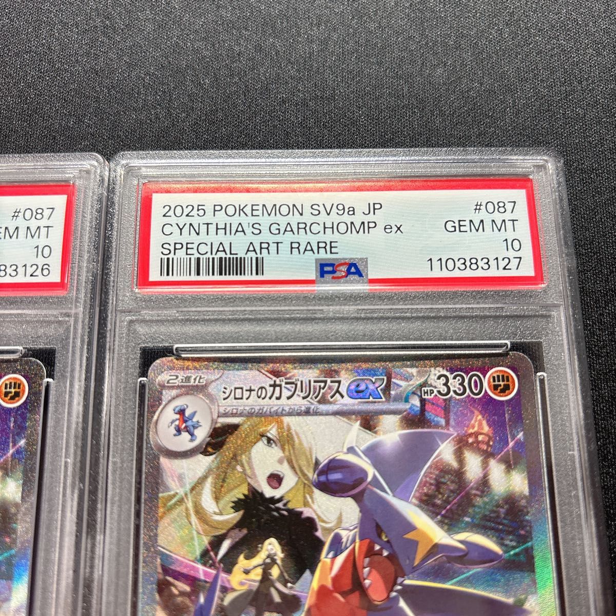 PSA10 連番 シロナのガブリアスex SAR 熱風のアリーナ|Yahoo PSA10 連番 シロナのガブリアスex SAR 熱風のアリーナ|Yahoo