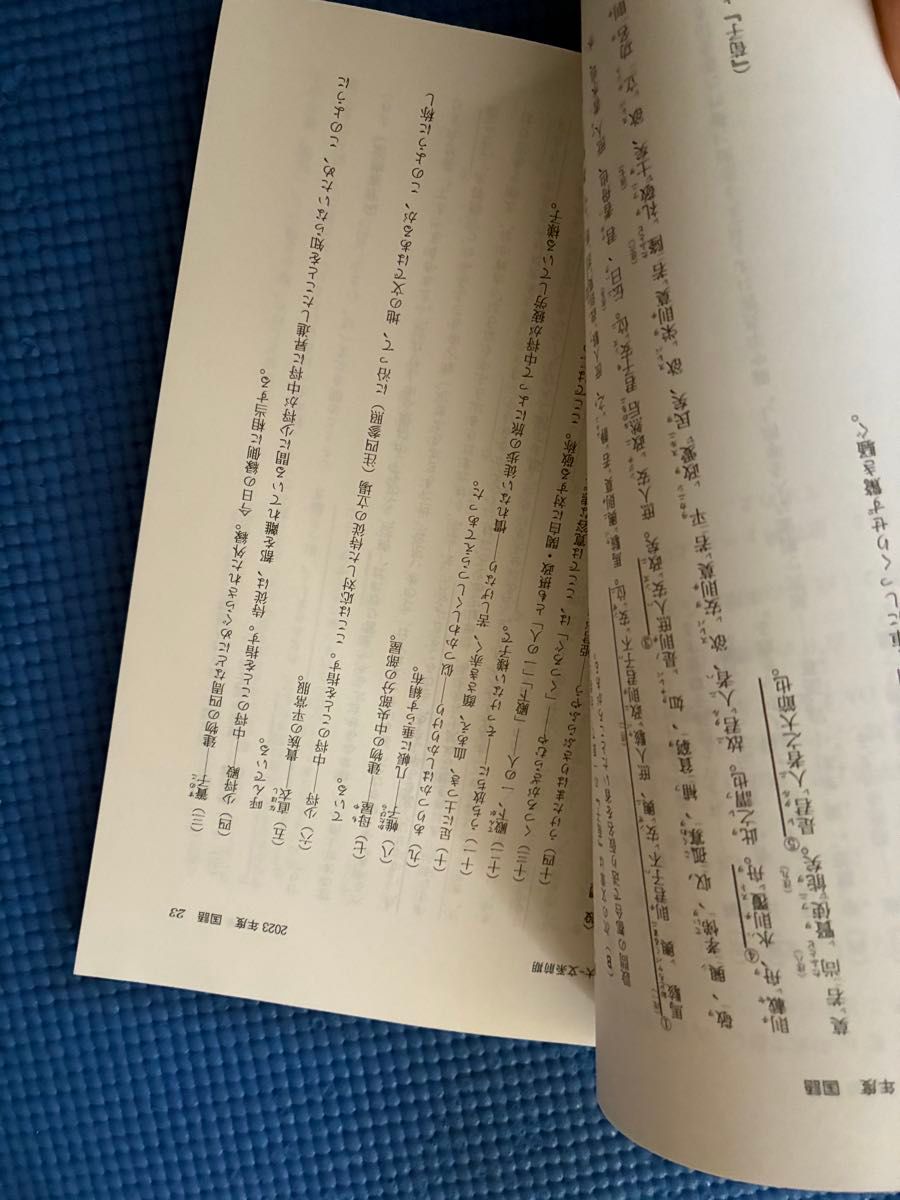 大阪公立大学 現代システム科学域〈文系〉 ('25 大学赤本 大阪公立大学 現代システム科学域〈文系〉 ('25 大学赤本