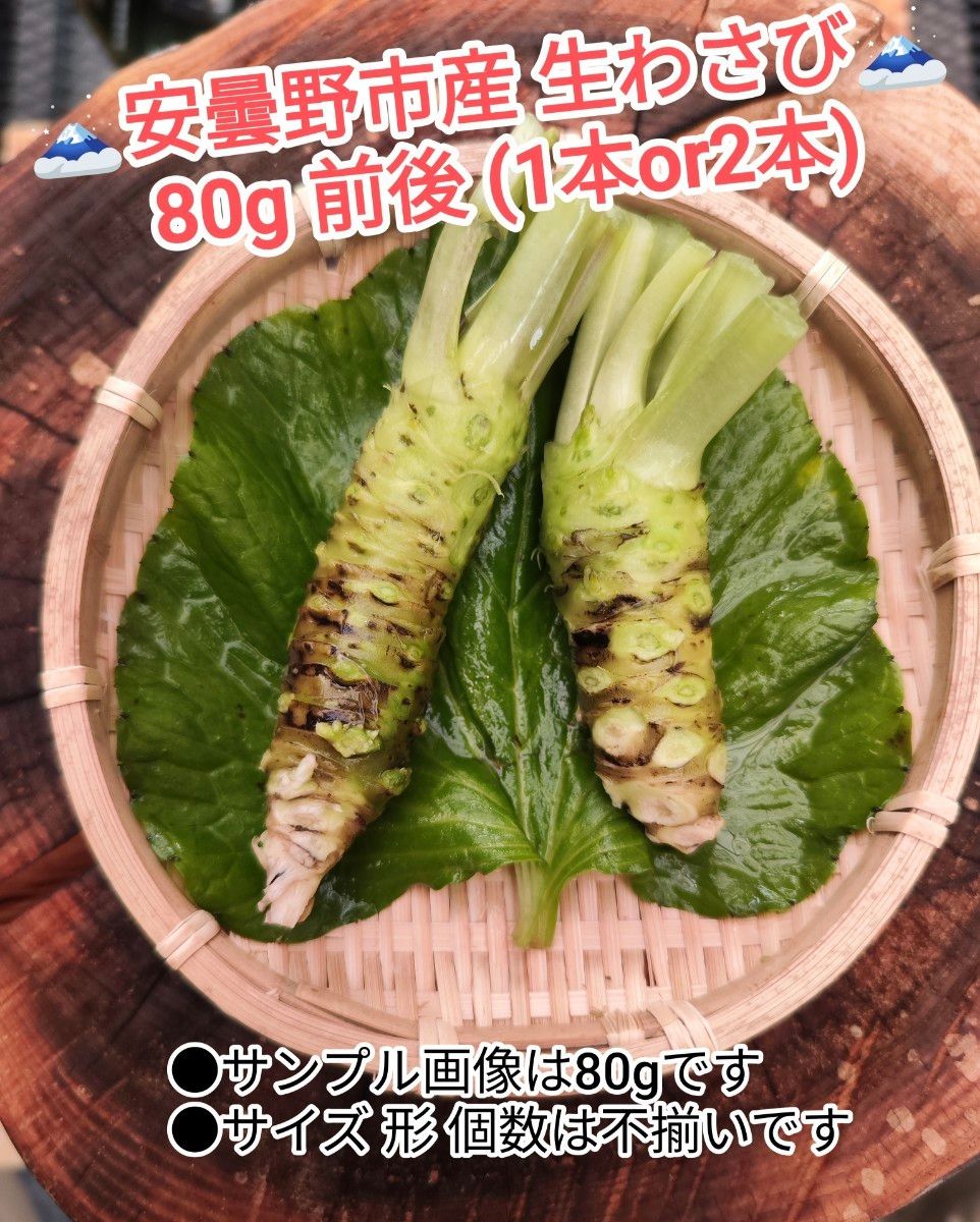 80g前後 信州 安曇野 本わさび 生ワサビ あづみ野 山葵 WASABI 80g前後 信州 安曇野 本わさび 生ワサビ あづみ野 山葵 WASABI