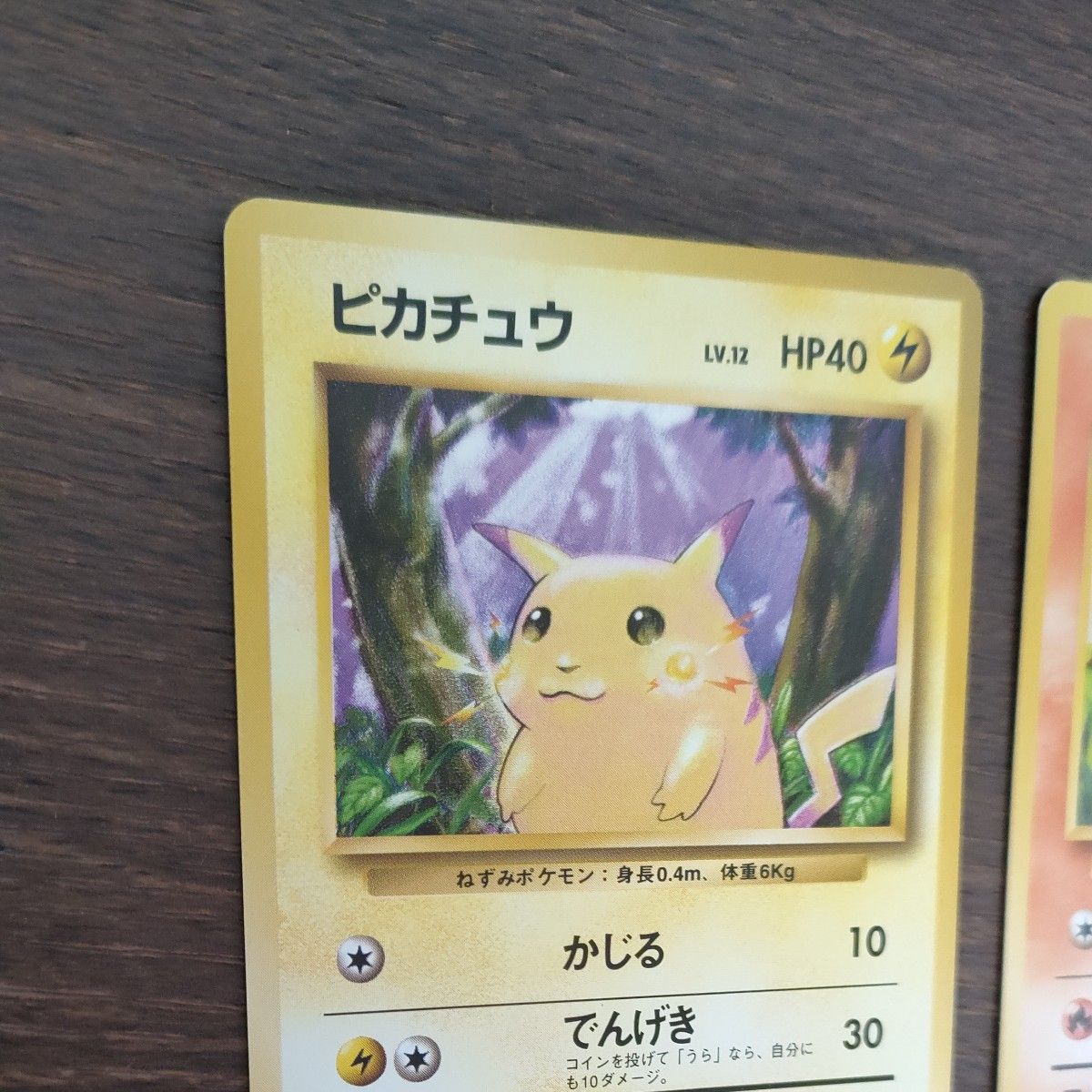ポケモンカード ピカチュウ フシギダネ ヒトカゲ ゼニガメ 旧裏 ポケモンカード ピカチュウ フシギダネ ヒトカゲ ゼニガメ 旧裏
