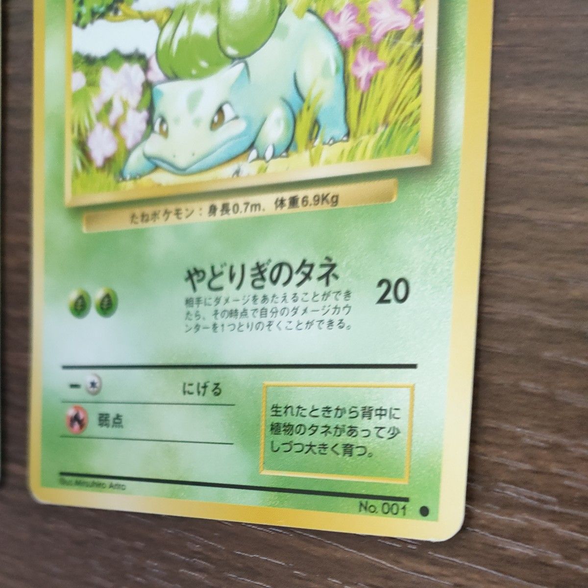 ポケモンカード ピカチュウ フシギダネ ヒトカゲ ゼニガメ 旧裏 ポケモンカード ピカチュウ フシギダネ ヒトカゲ ゼニガメ 旧裏