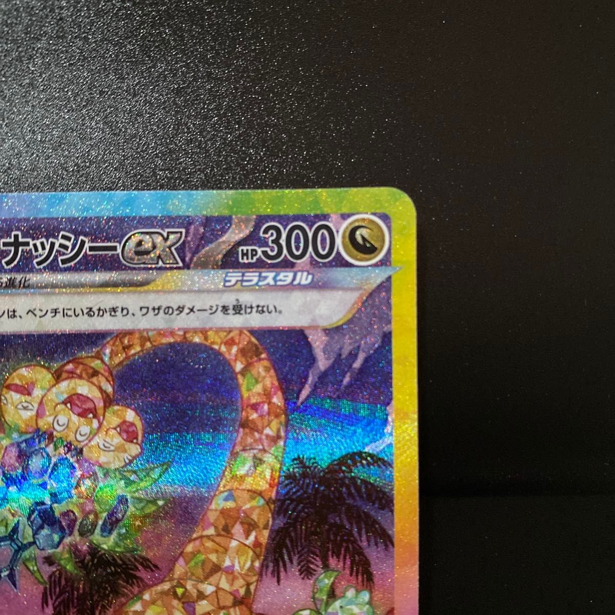 アローラナッシーex 089/064 SAR ポケモンカード 楽園ドラゴーナ アローラナッシーex 089/064 SAR ポケモンカード 楽園ドラゴーナ