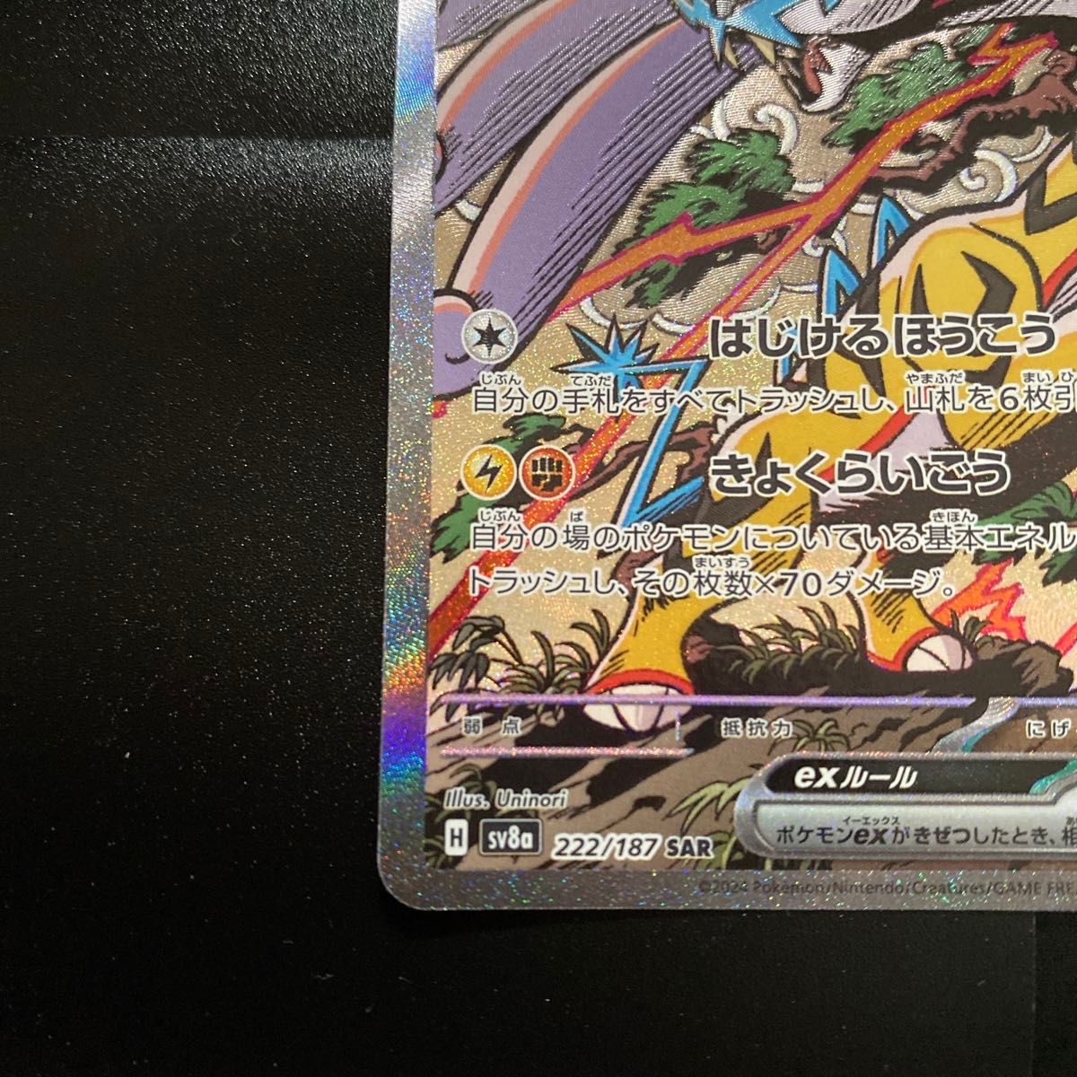 タケルライコex 222/187 SAR ポケモンカードゲーム テラスタル タケルライコex 222/187 SAR ポケモンカードゲーム テラスタル
