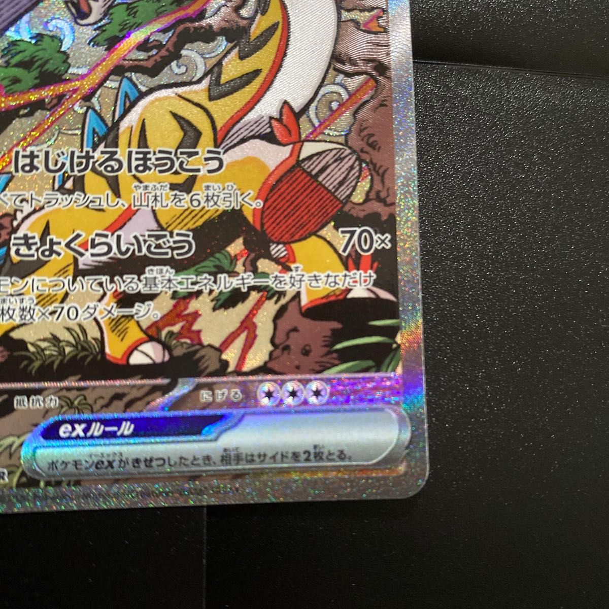 タケルライコex 222/187 SAR ポケモンカードゲーム テラスタル タケルライコex 222/187 SAR ポケモンカードゲーム テラスタル