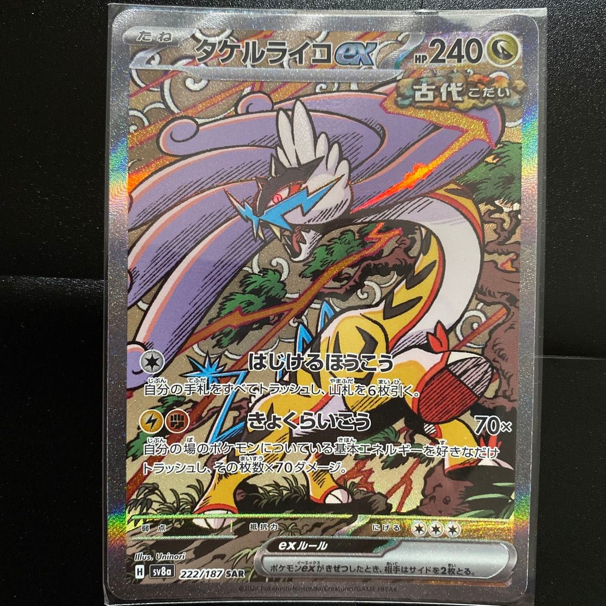 タケルライコex 222/187 SAR ポケモンカードゲーム テラスタル タケルライコex 222/187 SAR ポケモンカードゲーム テラスタル