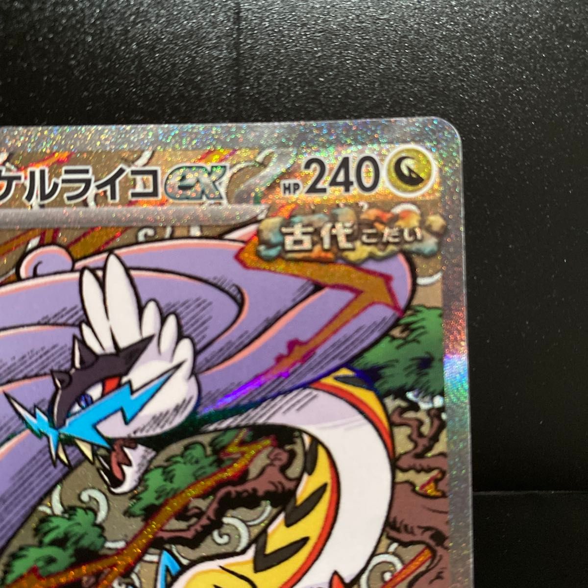 タケルライコex 222/187 SAR ポケモンカードゲーム テラスタル タケルライコex 222/187 SAR ポケモンカードゲーム テラスタル