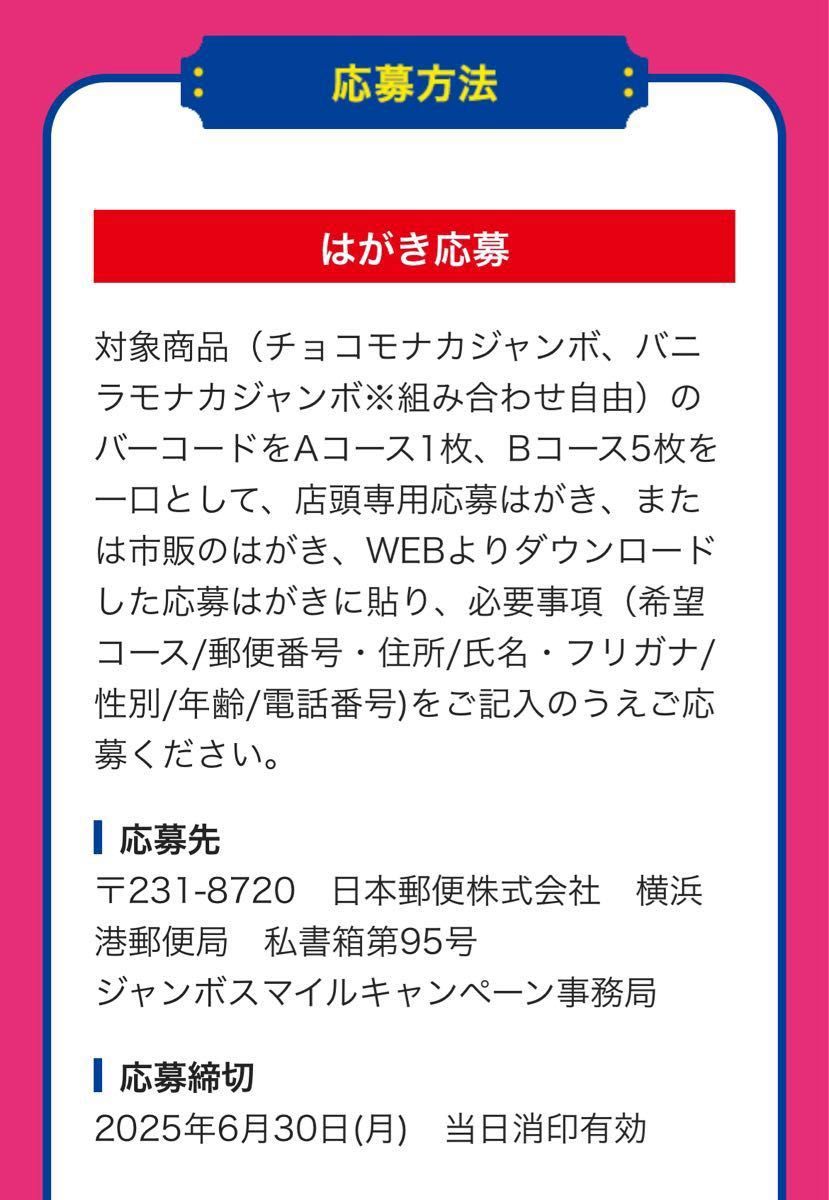懸賞応募 ジャンボスマイルキャンペーン チョコモナカジャンボ 懸賞応募 ジャンボスマイルキャンペーン チョコモナカジャンボ