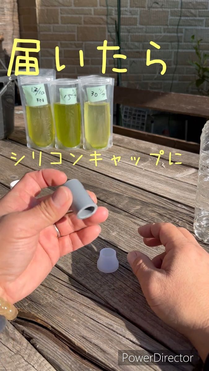 【ゾウリムシ分離器用アダプター】2個セット送料無料 【土日限定】シリコンキャップセット!