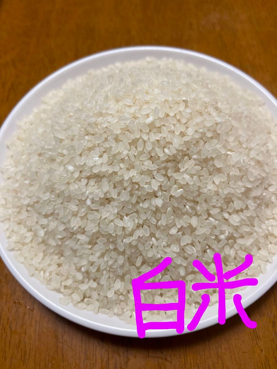 R6年島根県産 きぬむすめ 10kg 精米可|Yahoo!フリマ(旧PayPay R6年島根県産 きぬむすめ 10kg 精米可|Yahoo!フリマ(旧PayPay