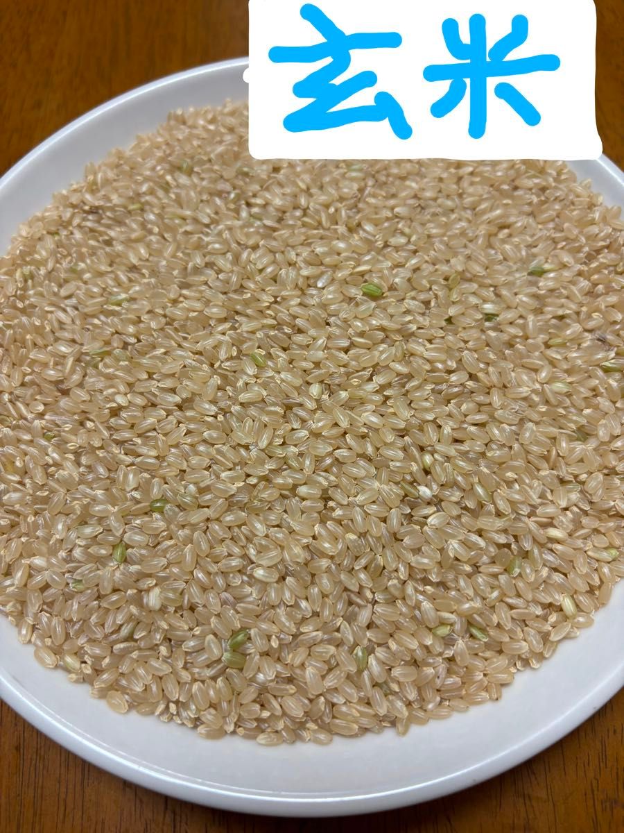 R6年島根県産 きぬむすめ 10kg 精米可|Yahoo!フリマ(旧PayPay R6年島根県産 きぬむすめ 10kg 精米可|Yahoo!フリマ(旧PayPay