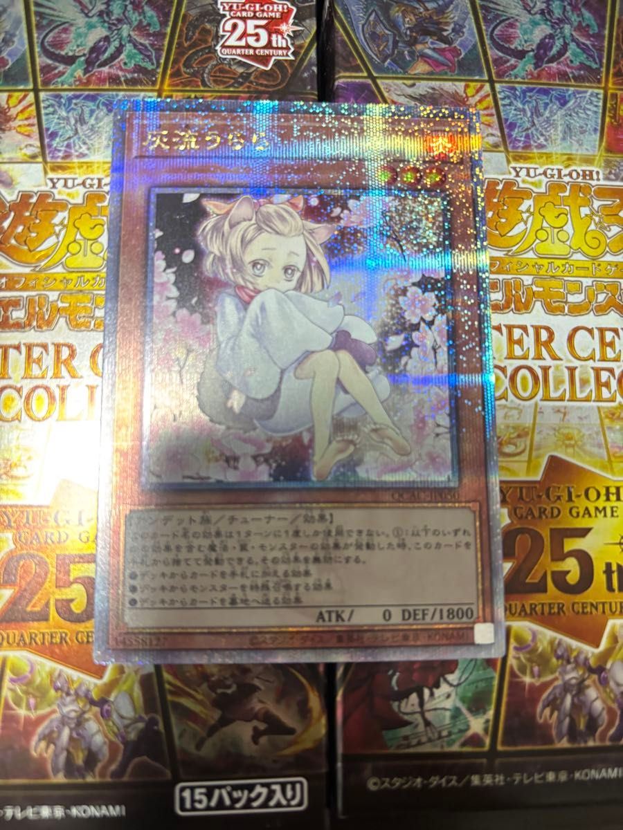 QCAC-JP050 灰流うらら クォーターセンチュリーシークレットレア QCAC-JP050 灰流うらら クォーターセンチュリーシークレットレア