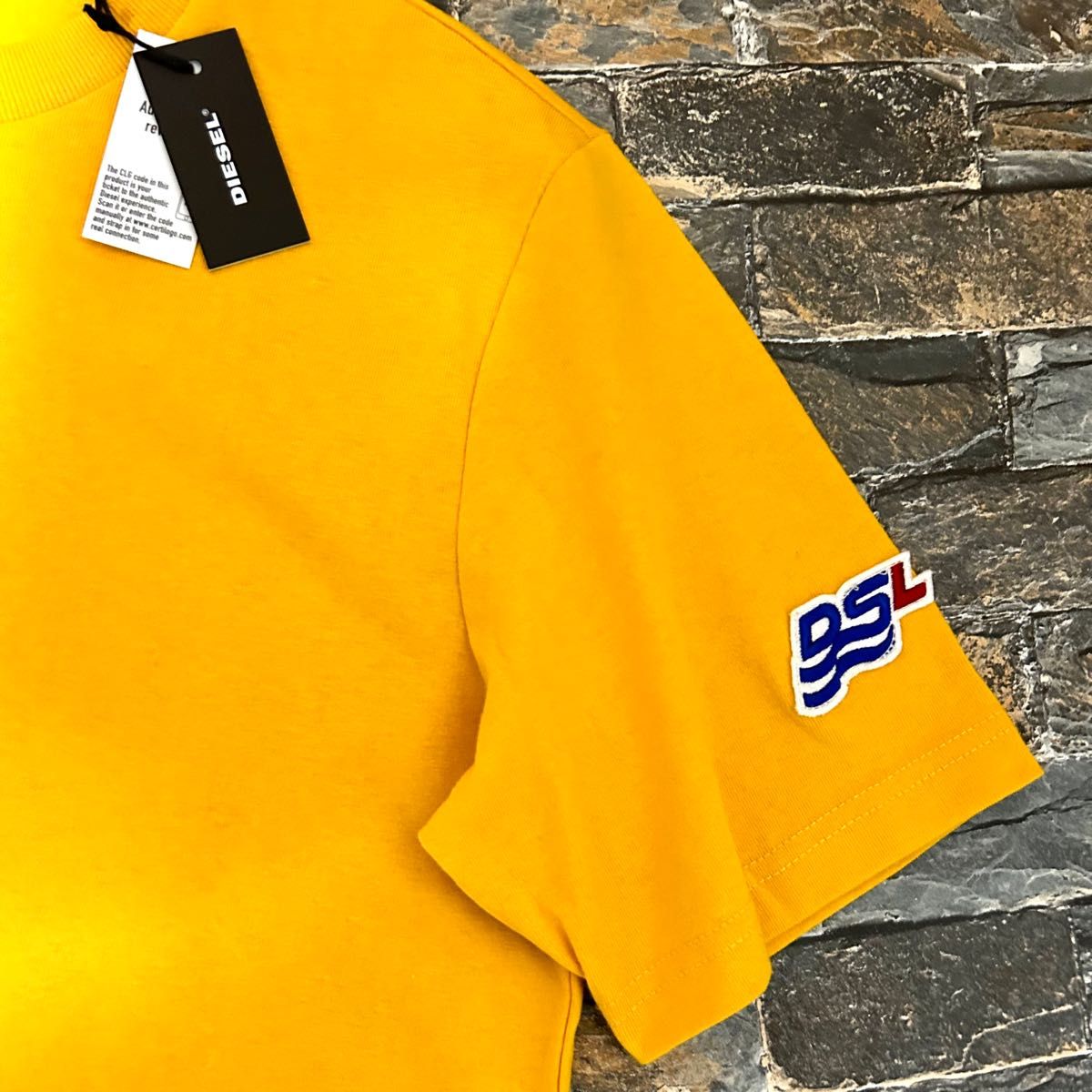 新品】DIESEL ディーゼル/ワンポイント 袖DSLロゴワッペン T 新品】DIESEL ディーゼル/ワンポイント 袖DSLロゴワッペン T