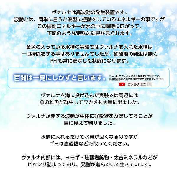 水槽の水質改善に！【ヴァルナミニ15センチ】有害物質を強力抑制！病原菌や感染症を防ぎ透明度が抜群に！水槽に入れるだけ☆水替え不要に！_画像5