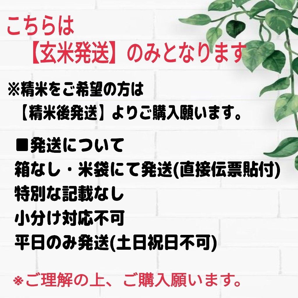 玄米発送】在庫少 令和6年産 茨城県産 コシヒカリ 1等米 玄米 玄米発送】在庫少 令和6年産 茨城県産 コシヒカリ 1等米 玄米
