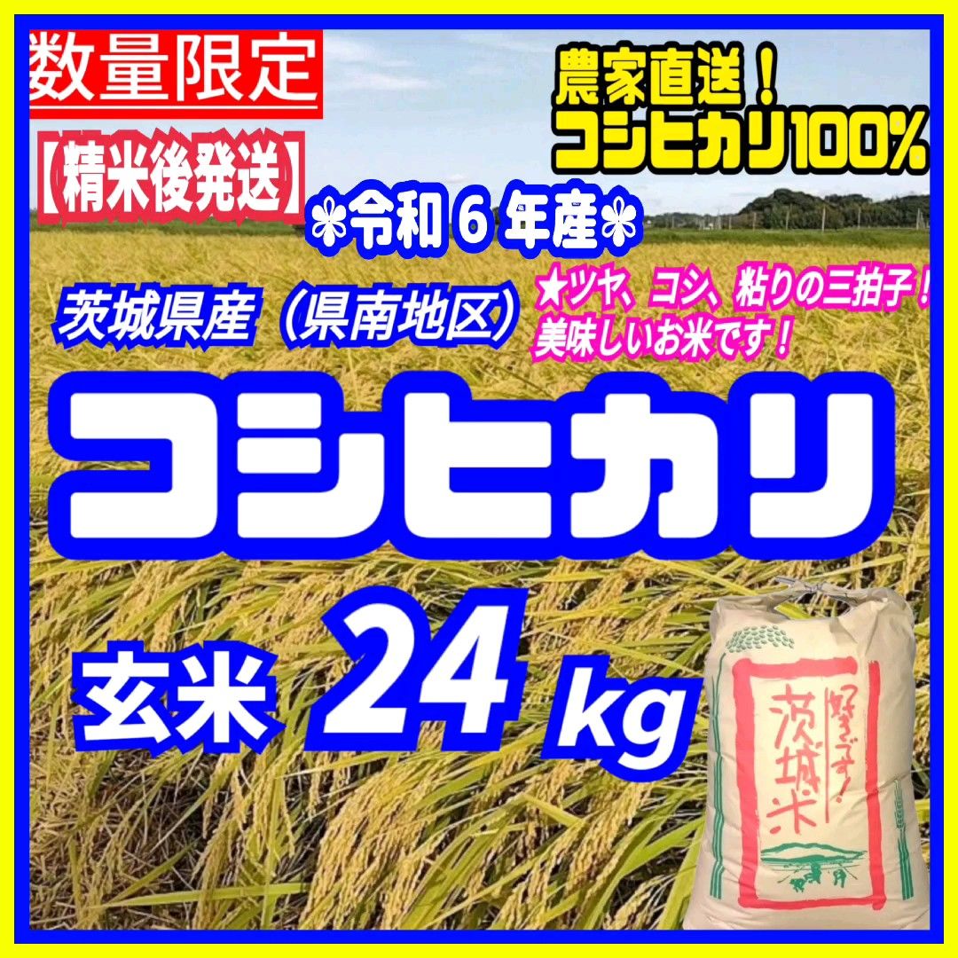 【精米後発送】在庫少!令和6年産 茨城県産 コシヒカリ 1等米 玄米 24キロ お米 ごはん うるち米 白米 精白米