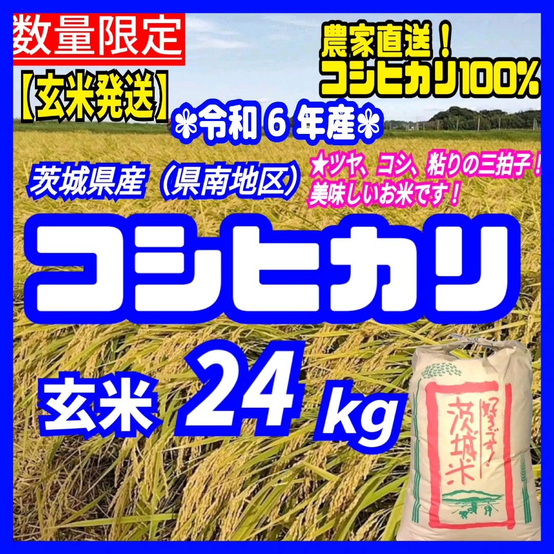 【玄米発送】在庫少!令和6年産 茨城県産 コシヒカリ 1等米 玄米 24キロ お米 ごはん うるち米 玄米 白米