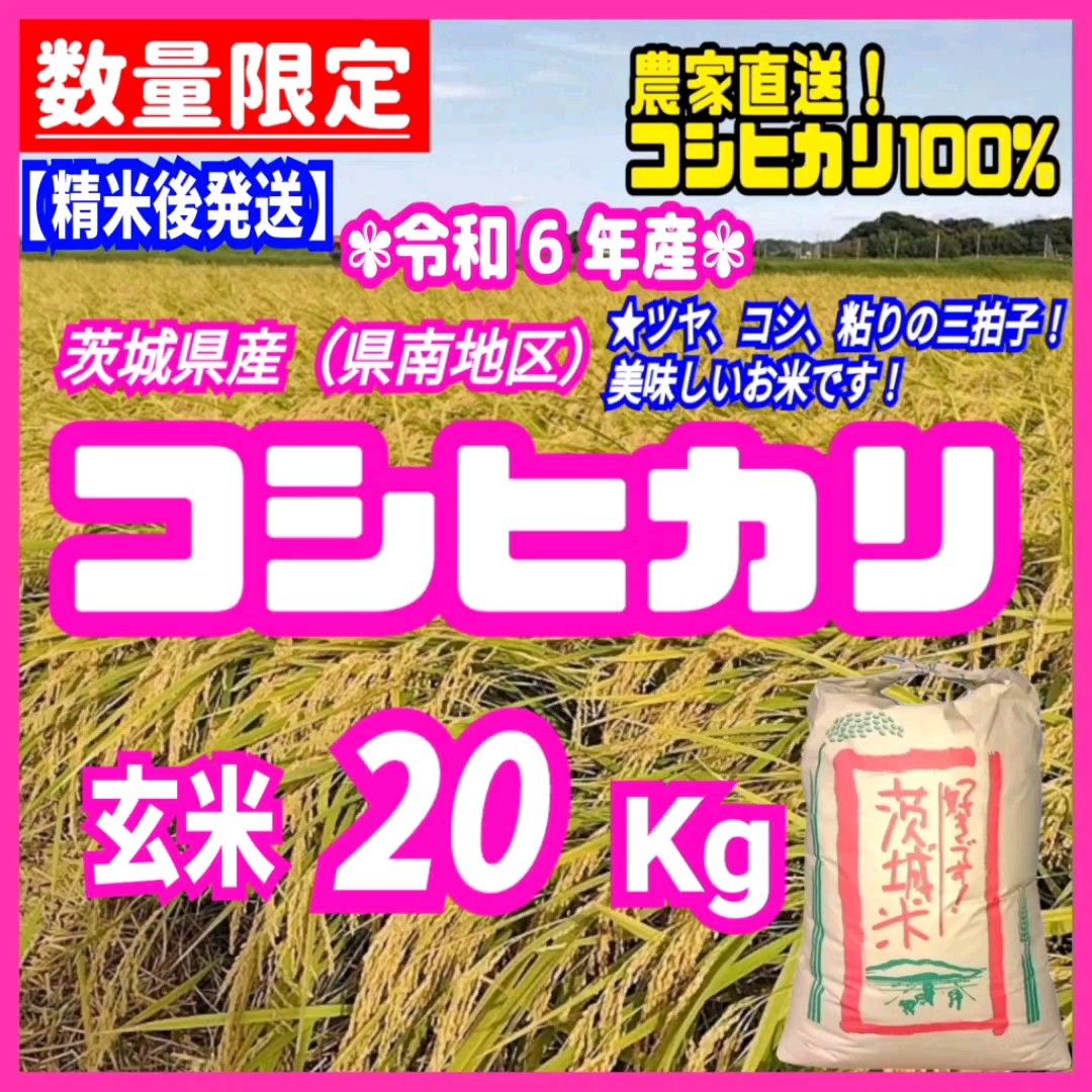 【精米後発送】在庫少!令和6年産 茨城県産 コシヒカリ 1等米 玄米 20kg 20キロ お米 ごはん うるち米 玄米 白米