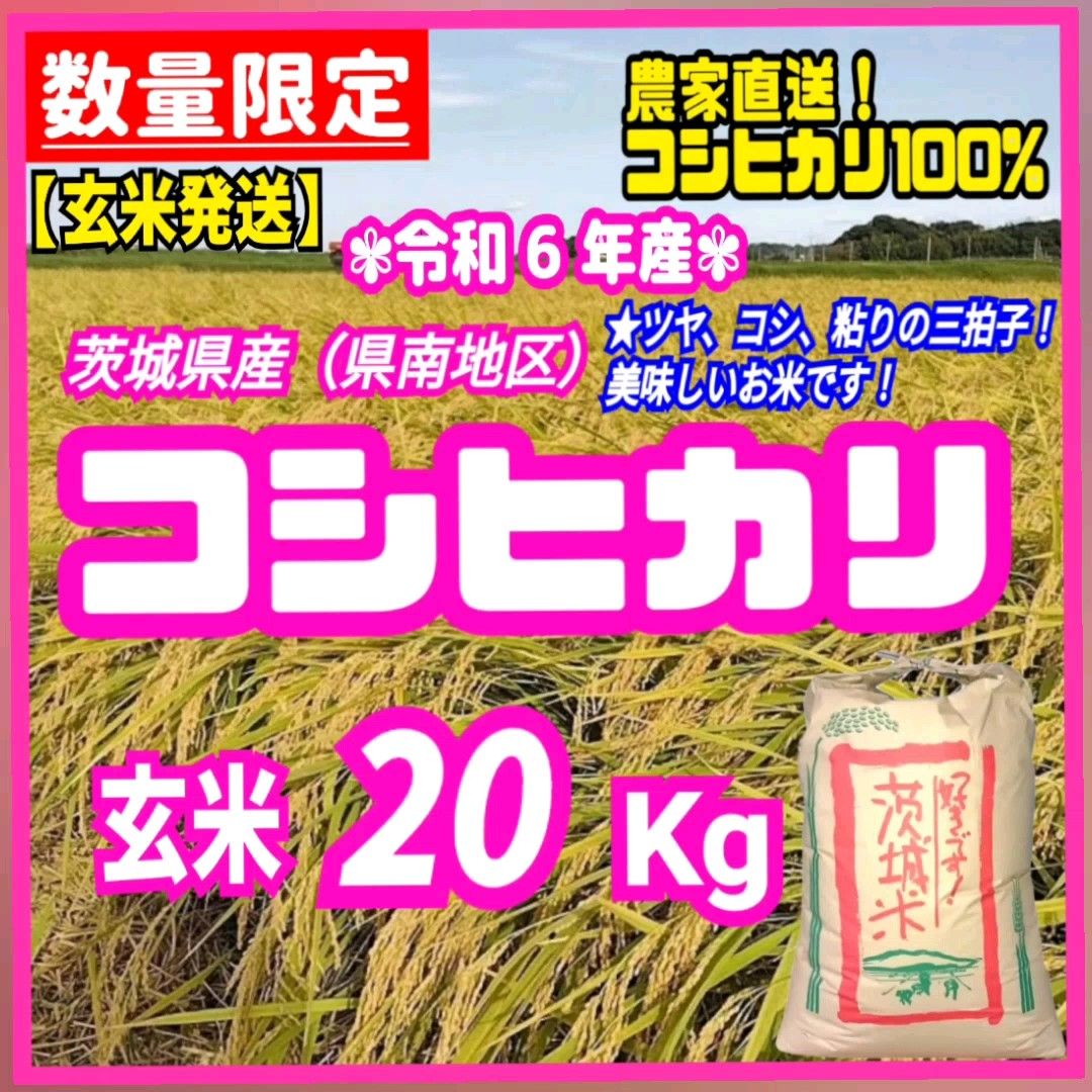 【玄米発送】在庫少!令和6年産 茨城県産 コシヒカリ 1等米 玄米 20kg 20キロ お米 ごはん うるち米 白米