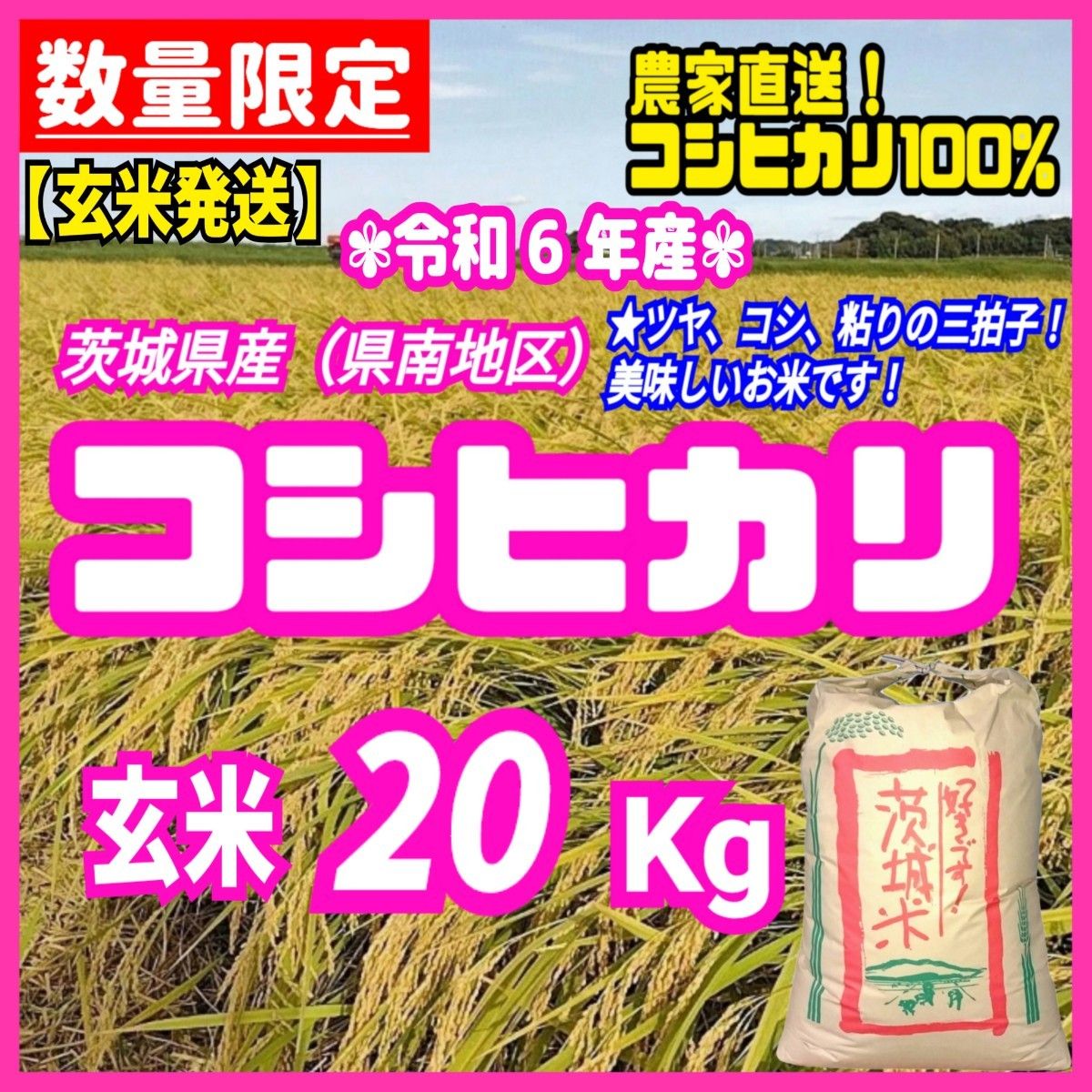 玄米発送】在庫少 令和6年産 茨城県産 コシヒカリ 1等米 玄米 玄米発送】在庫少 令和6年産 茨城県産 コシヒカリ 1等米 玄米