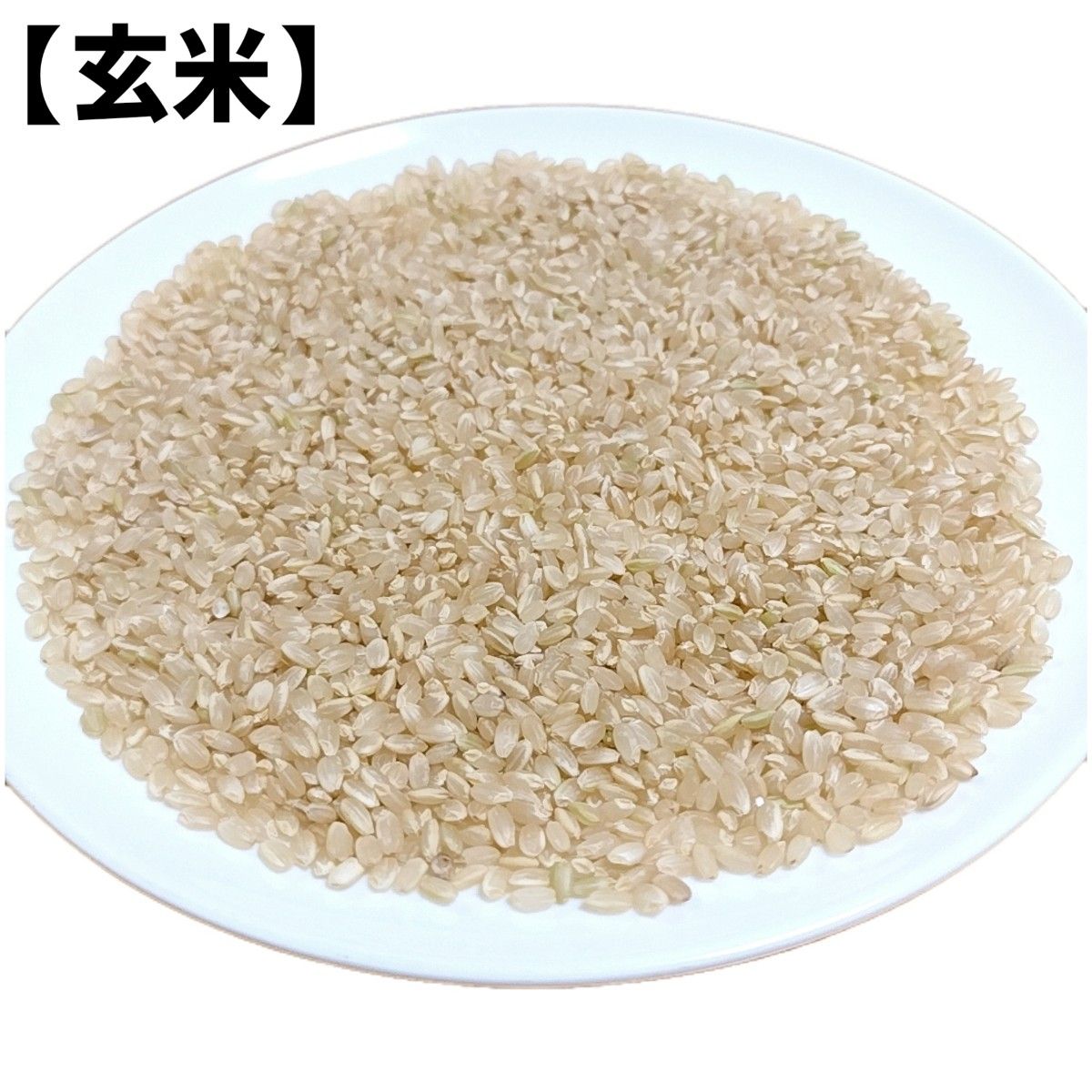 精米後発送】在庫少 令和6年産 茨城県産 コシヒカリ 1等米 玄米 精米後発送】在庫少 令和6年産 茨城県産 コシヒカリ 1等米 玄米