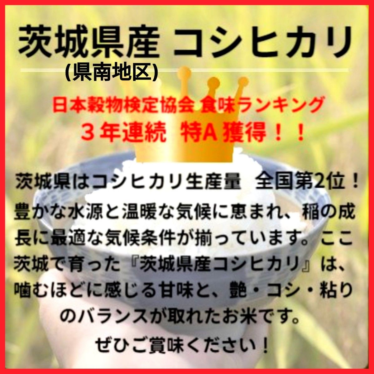 玄米発送】在庫少 令和6年産 茨城県産 コシヒカリ 1等米 玄米 玄米発送】在庫少 令和6年産 茨城県産 コシヒカリ 1等米 玄米