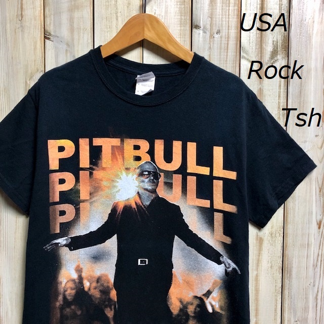 バンドT・ロックT USA PITBULL Tシャツ GILDAN S EDM ピットブル ●27