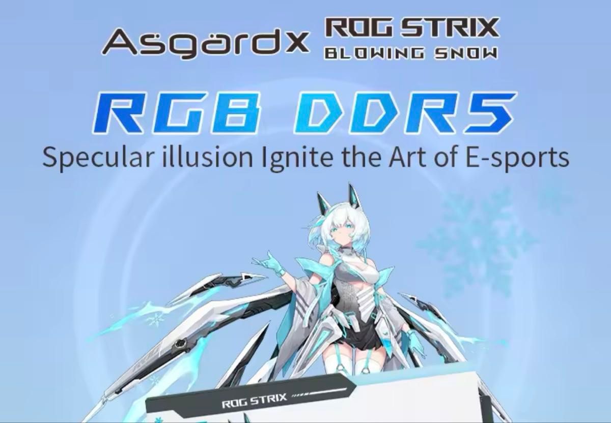 新品 未開封 Asgard ROG STRIX 吹雪 メモリ 64GB ( 32GB×2枚 新品 未開封 Asgard ROG STRIX 吹雪 メモリ 64GB ( 32GB×2枚