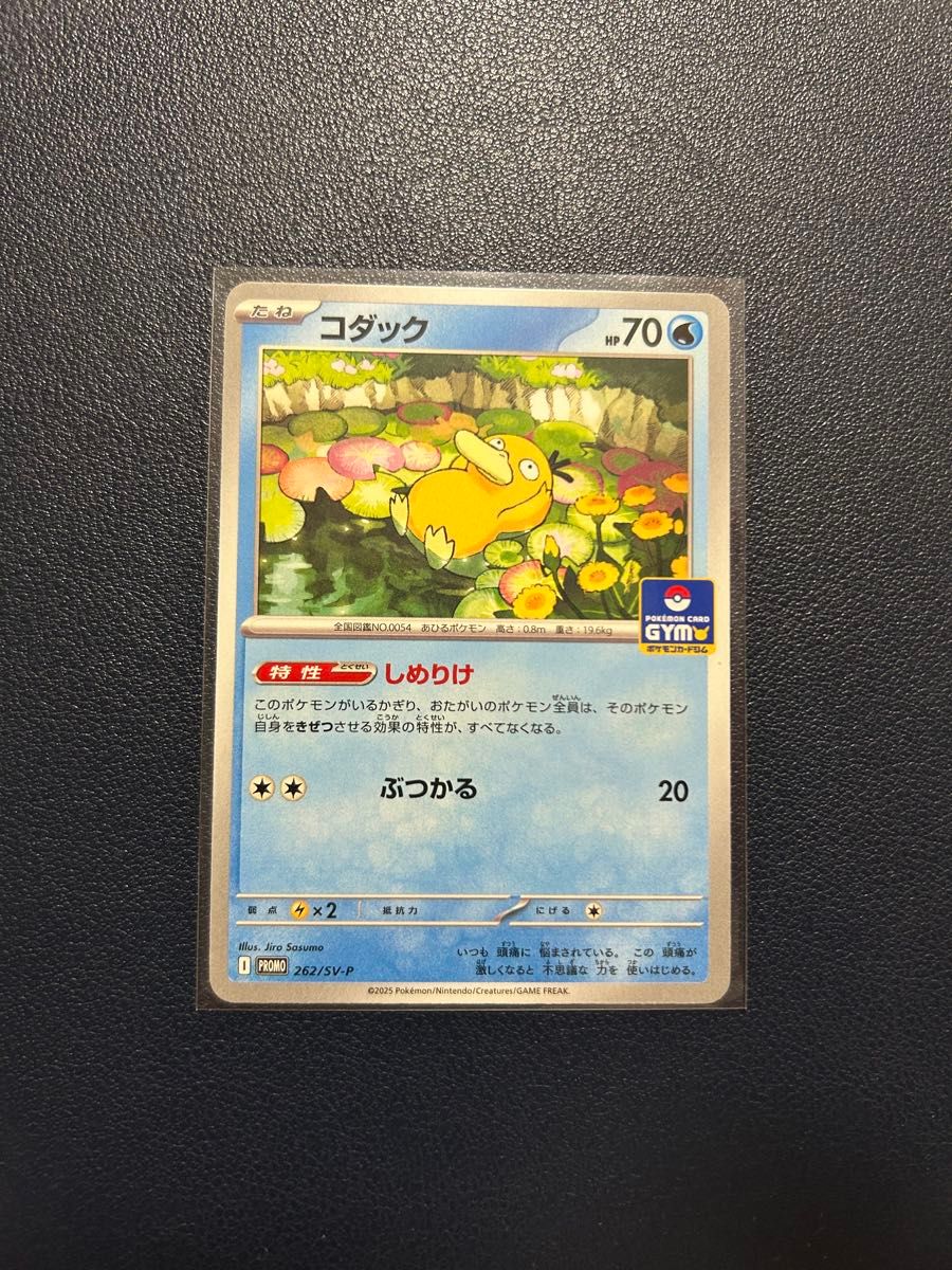 即日発送】コダック しめりけ ジムプロモ ポケモンカードゲーム 即日発送】コダック しめりけ ジムプロモ ポケモンカードゲーム