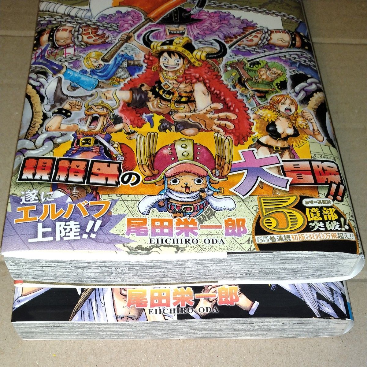 ONE PIECE ワンピース巻111 110(ジャンプ ONE PIECE ワンピース巻111 110(ジャンプ