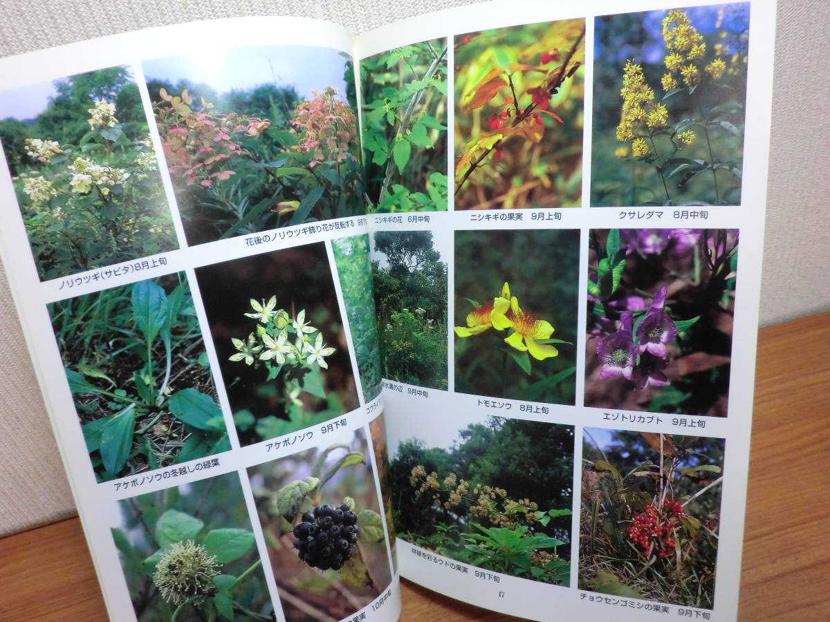 ヤフオク! - 200423L03 ky 北海道の自然/植物関連書籍 13冊 ...