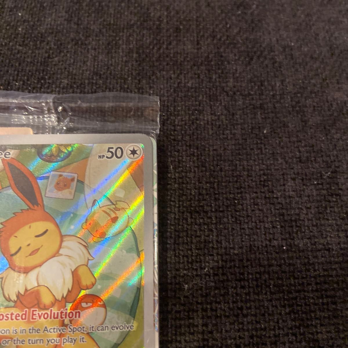 イーブイ 英語 海外 プロモ テラスタルフェス ポケモンカード イーブイ 英語 海外 プロモ テラスタルフェス ポケモンカード